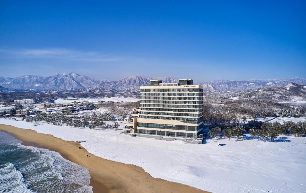 Renebleu By Walkerhill Hotell Goseong  Eksteriør bilde